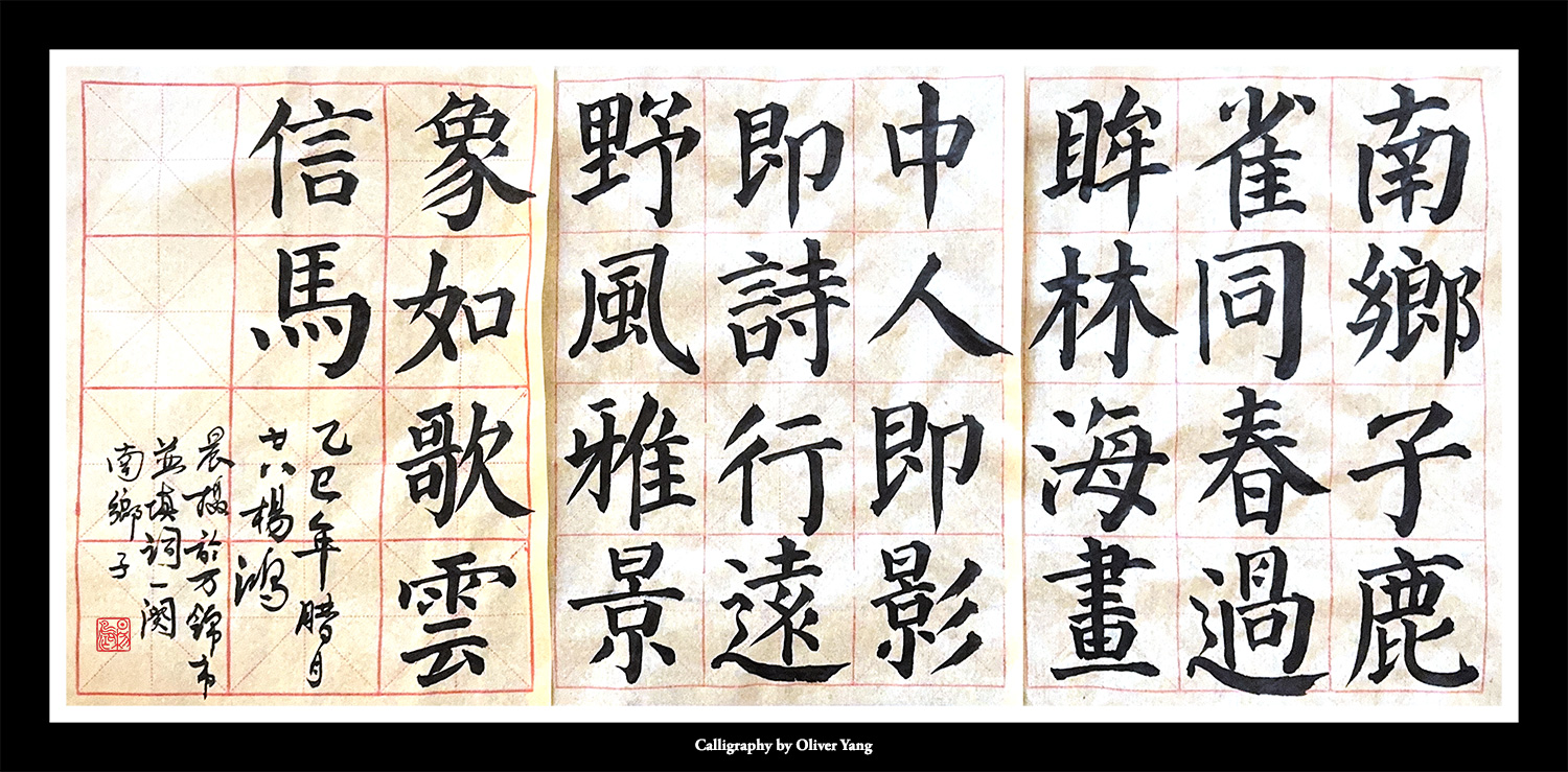 南鄉子 • 鹿過即風景 - 楊鴻 • 攝影詩畫